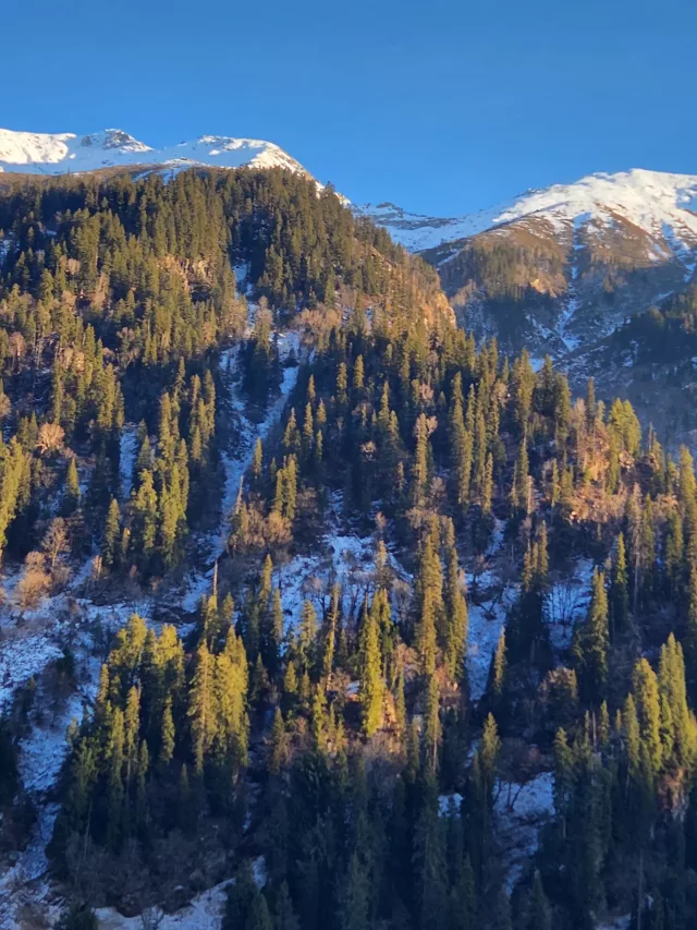Beautiful mountain forest trek view