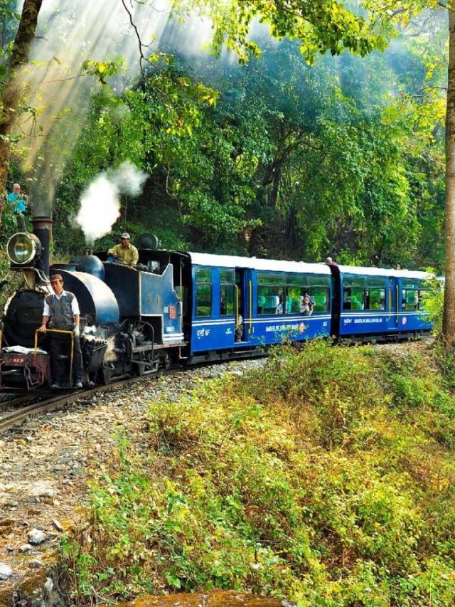 Toy Train Darjeeling