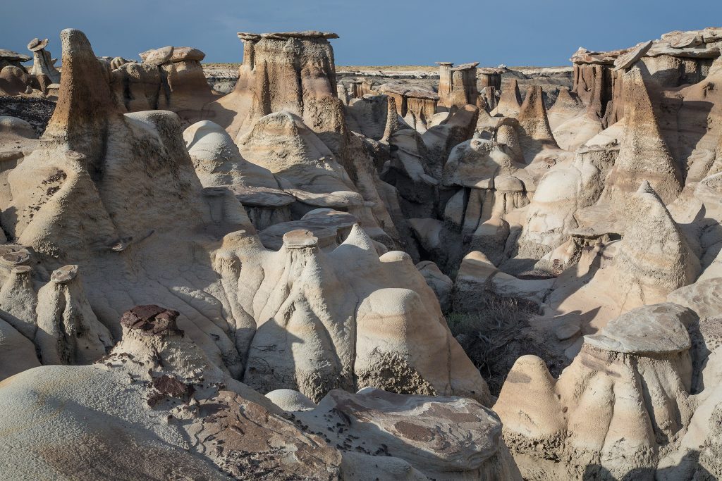 Bisti--De-Na-Zin Wilderness