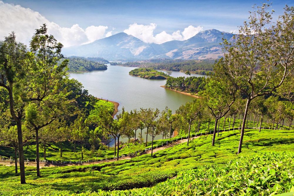 Munnar Kerala India