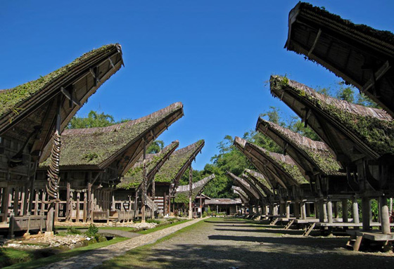 Tana Toraja Indonesia