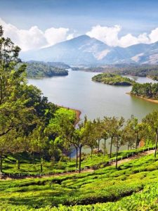 Munnar Kerala India