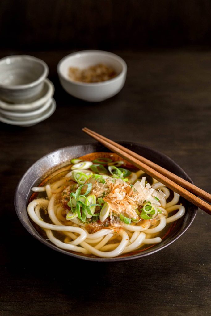 Udon, Japanese Dish