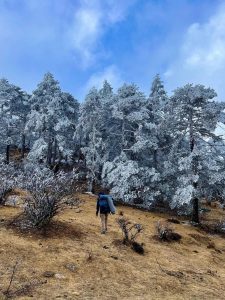 Sandakphu Trek