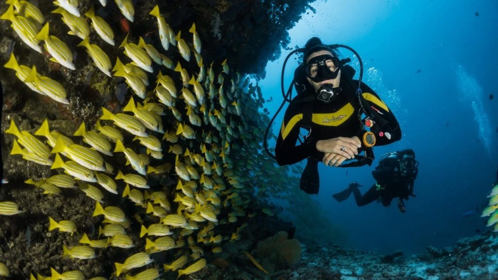 Scuba Diving in Andaman